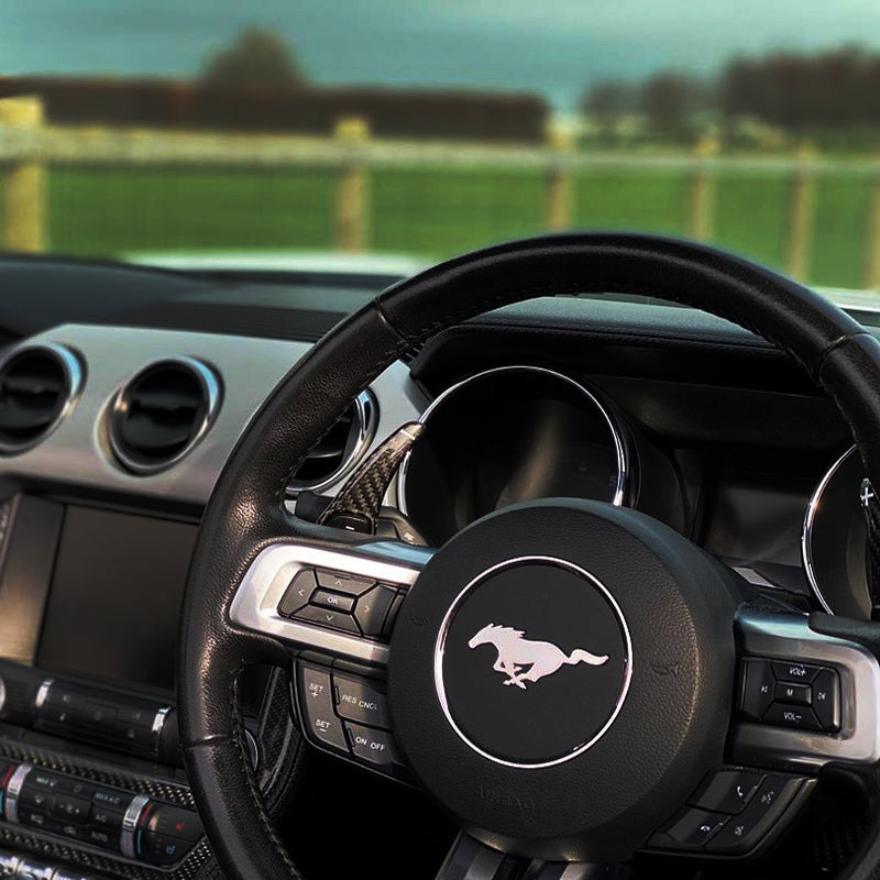 Palettes de changement de vitesse en fibre de carbone pour Ford Mustang S550